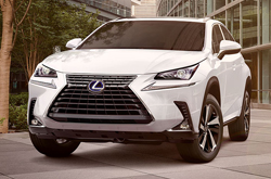 2019 Lexus NX
