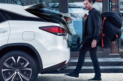 2020 Lexus RX